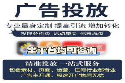 百度推广成功案例：打造行业领军品牌之路
